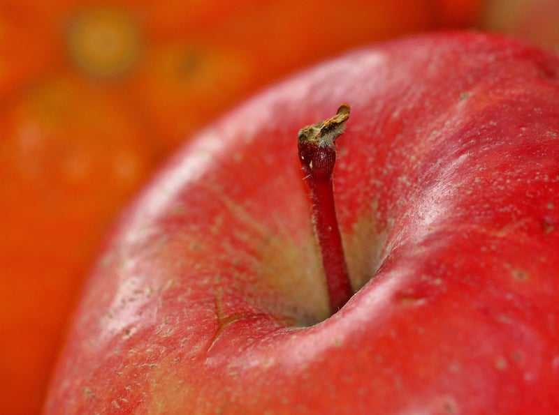 Fresh Apples